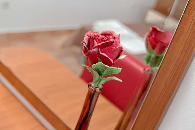 Апартаменты Apartments Ivanović Котор-51